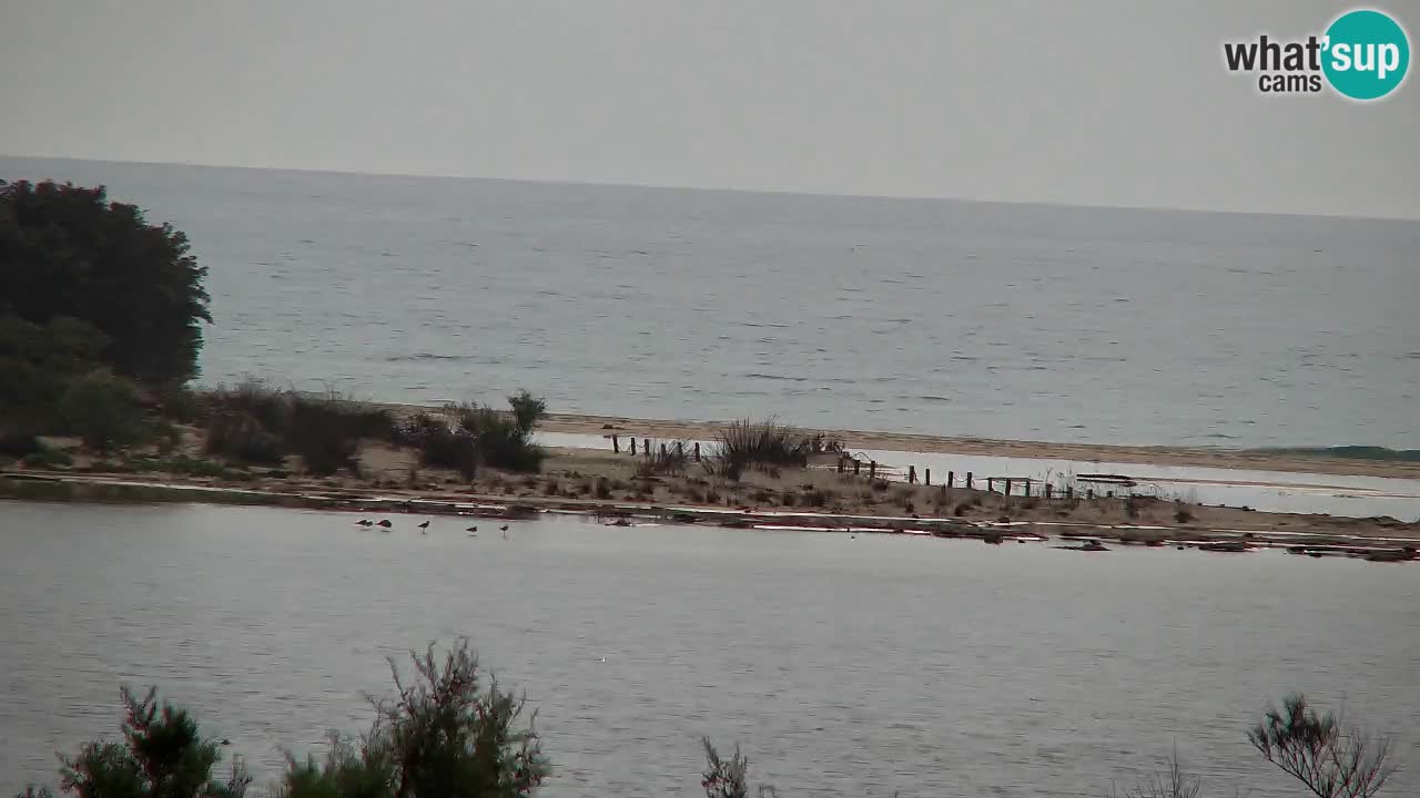 Webcam Chia – Live View of Su Giudeu Beach