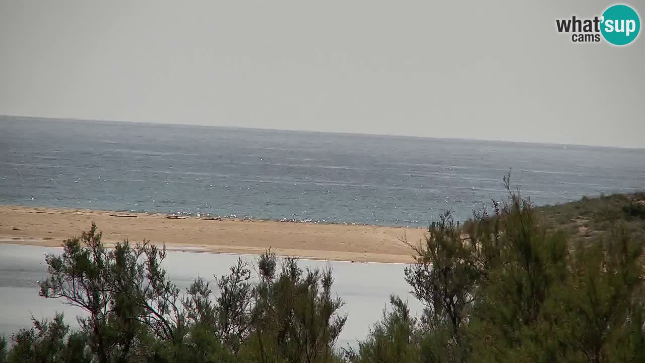 Webcam Chia – Live View of Su Giudeu Beach