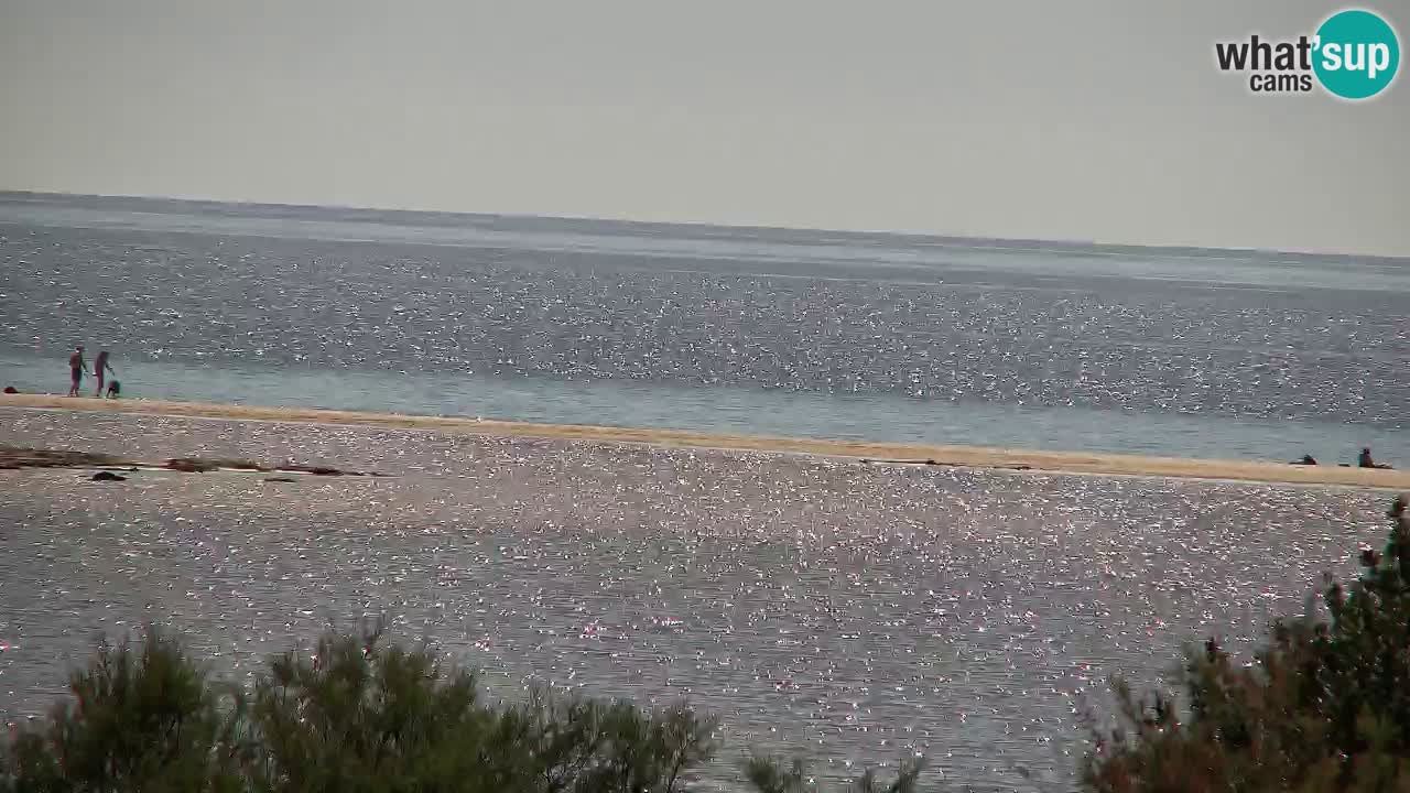 Webcam Chia – Live View of Su Giudeu Beach