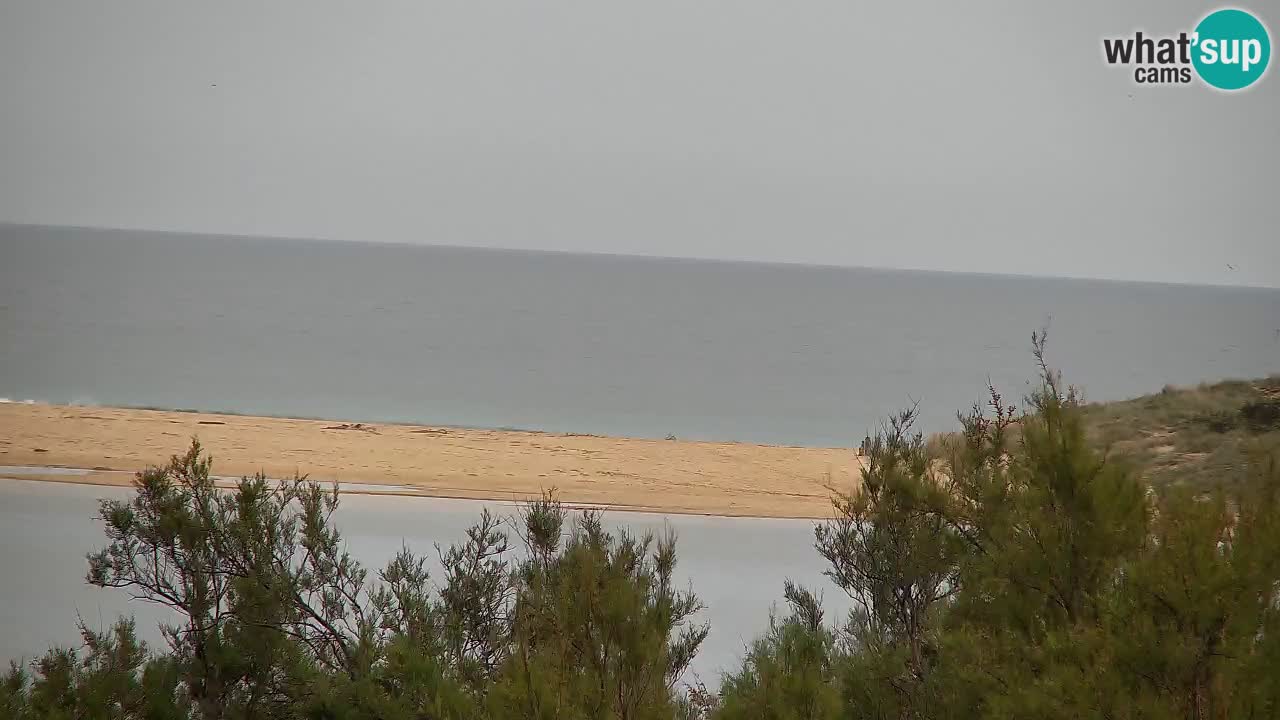 Webcam Chia – Live View of Su Giudeu Beach