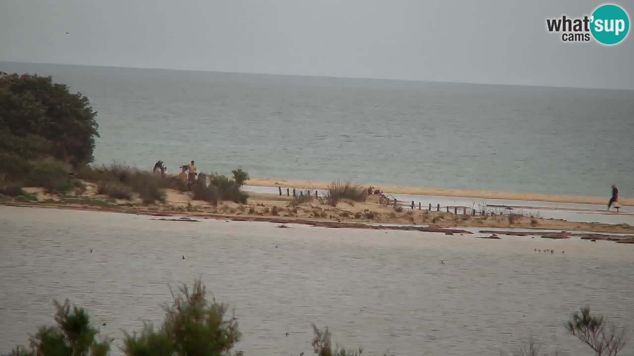 Webcam Chia – Live View of Su Giudeu Beach
