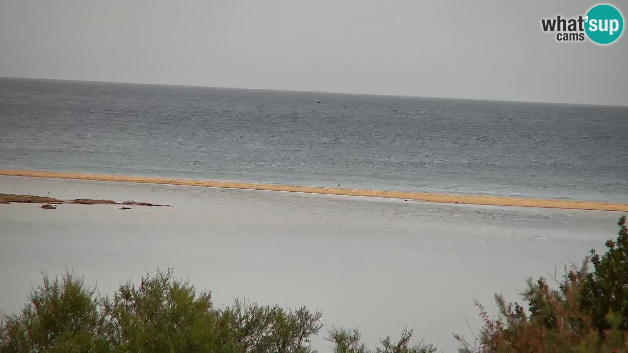 Webcam Chia – Spiaggia Su Giudeu in diretta