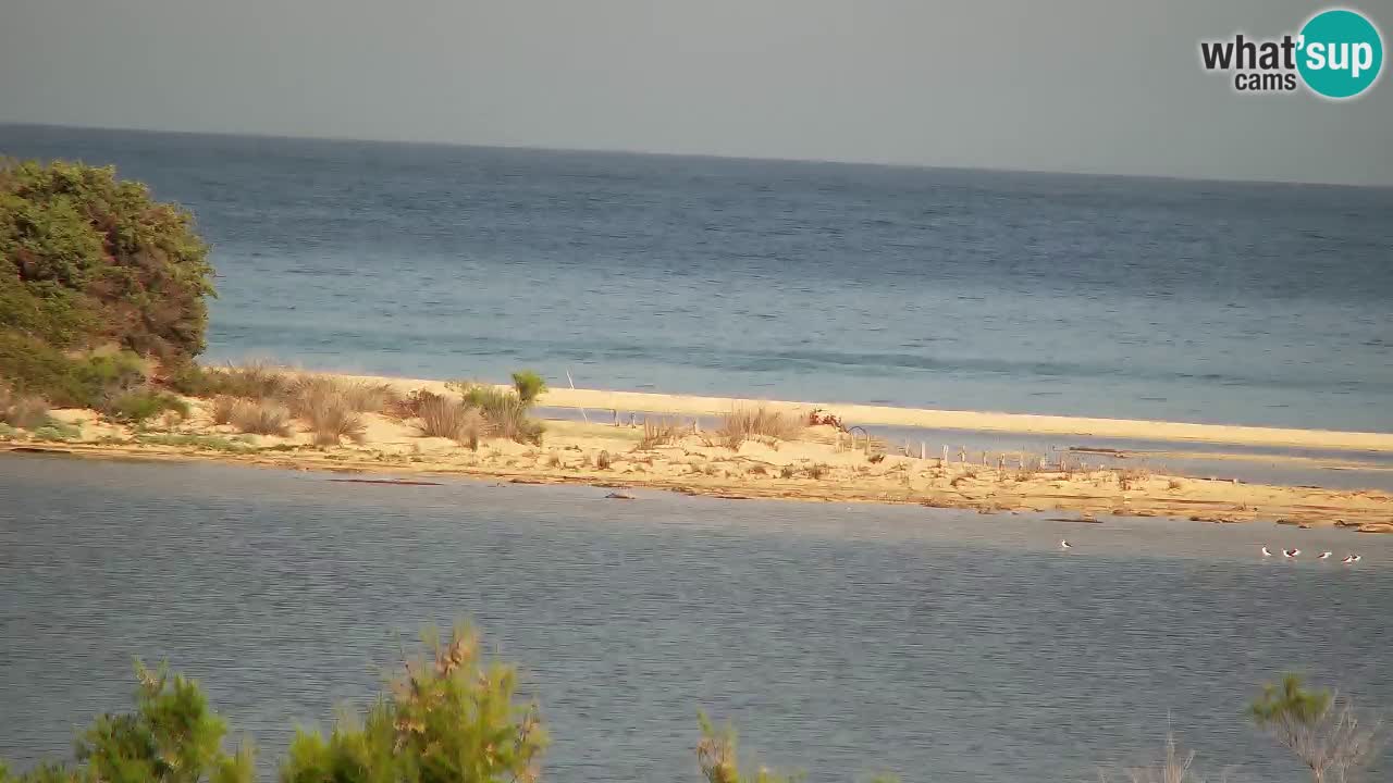 Webcam Chia – Liveblick auf den Strand Su Giudeu