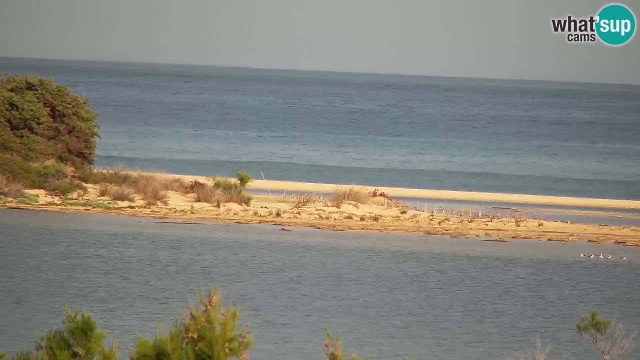 Webcam Chia – Liveblick auf den Strand Su Giudeu