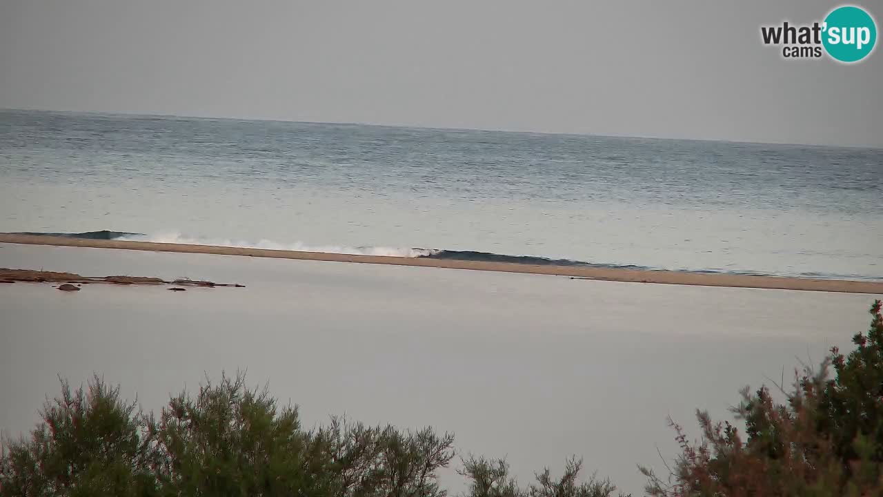 Webcam Chia – Live View of Su Giudeu Beach