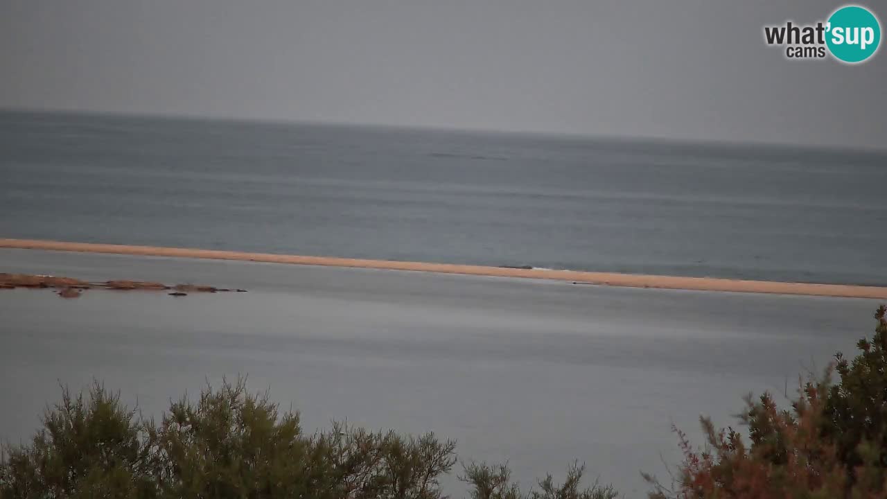 Webcam Chia – Vue en direct de la plage Su Giudeu