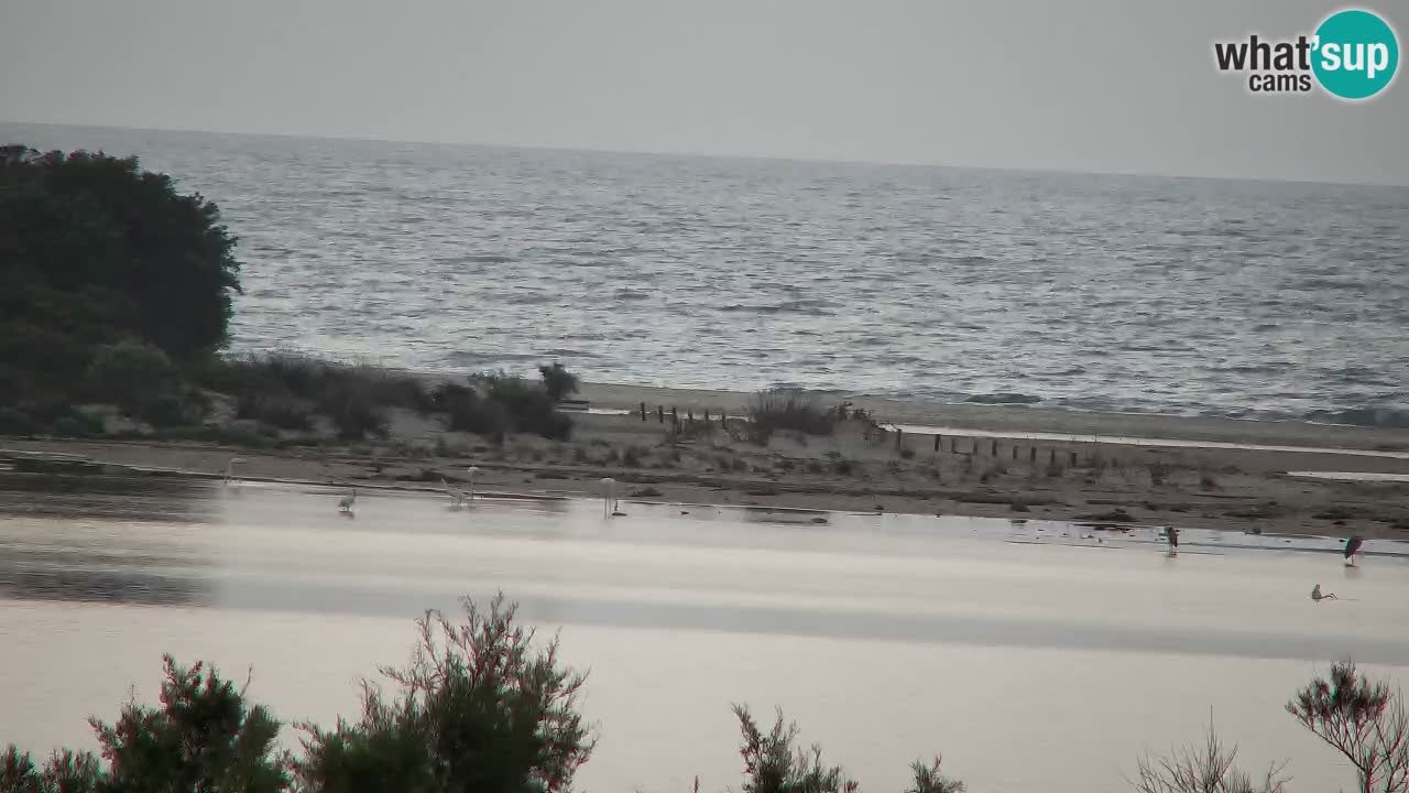 Spletna kamera Chia – Pogled v živo na plažo Su Giudeu