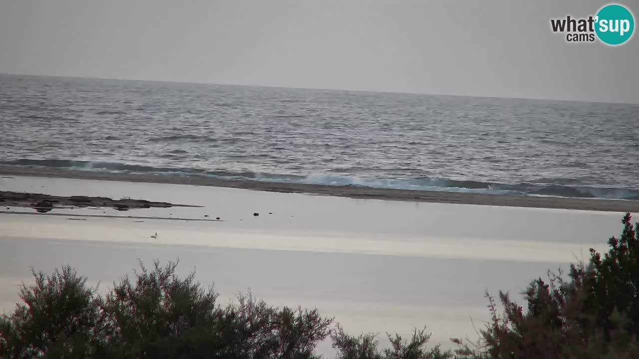 Webcam Chia – Vista en directo de la playa Su Giudeu