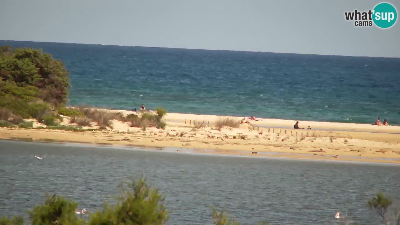 Webcam Chia – Vue en direct de la plage Su Giudeu