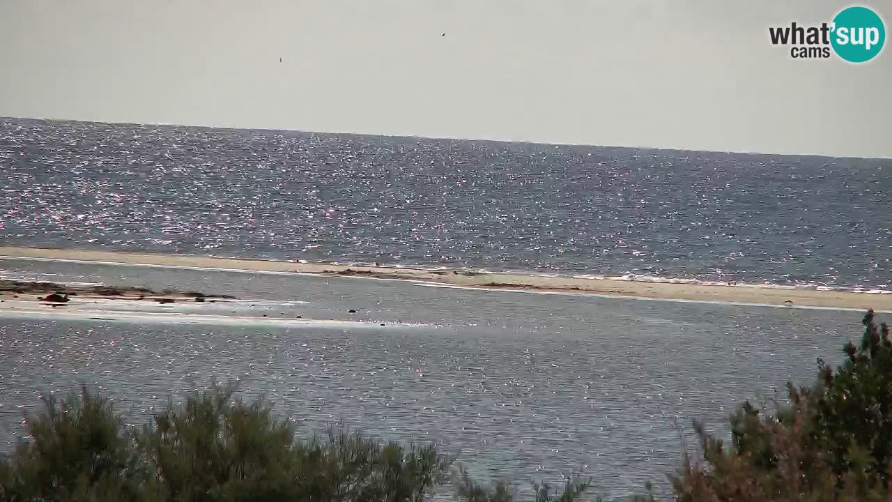 Webcam Chia – Vista en directo de la playa Su Giudeu