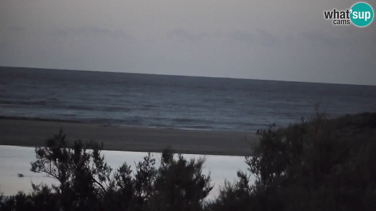 Webcam Chia – Live View of Su Giudeu Beach