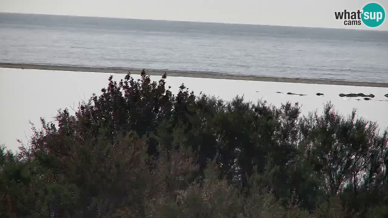 Webcam Chia – Live View of Su Giudeu Beach
