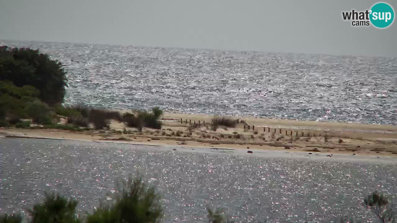 Webcam Chia – Live View of Su Giudeu Beach