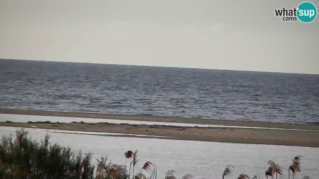 Webcam Chia – Vista en directo de la playa Su Giudeu