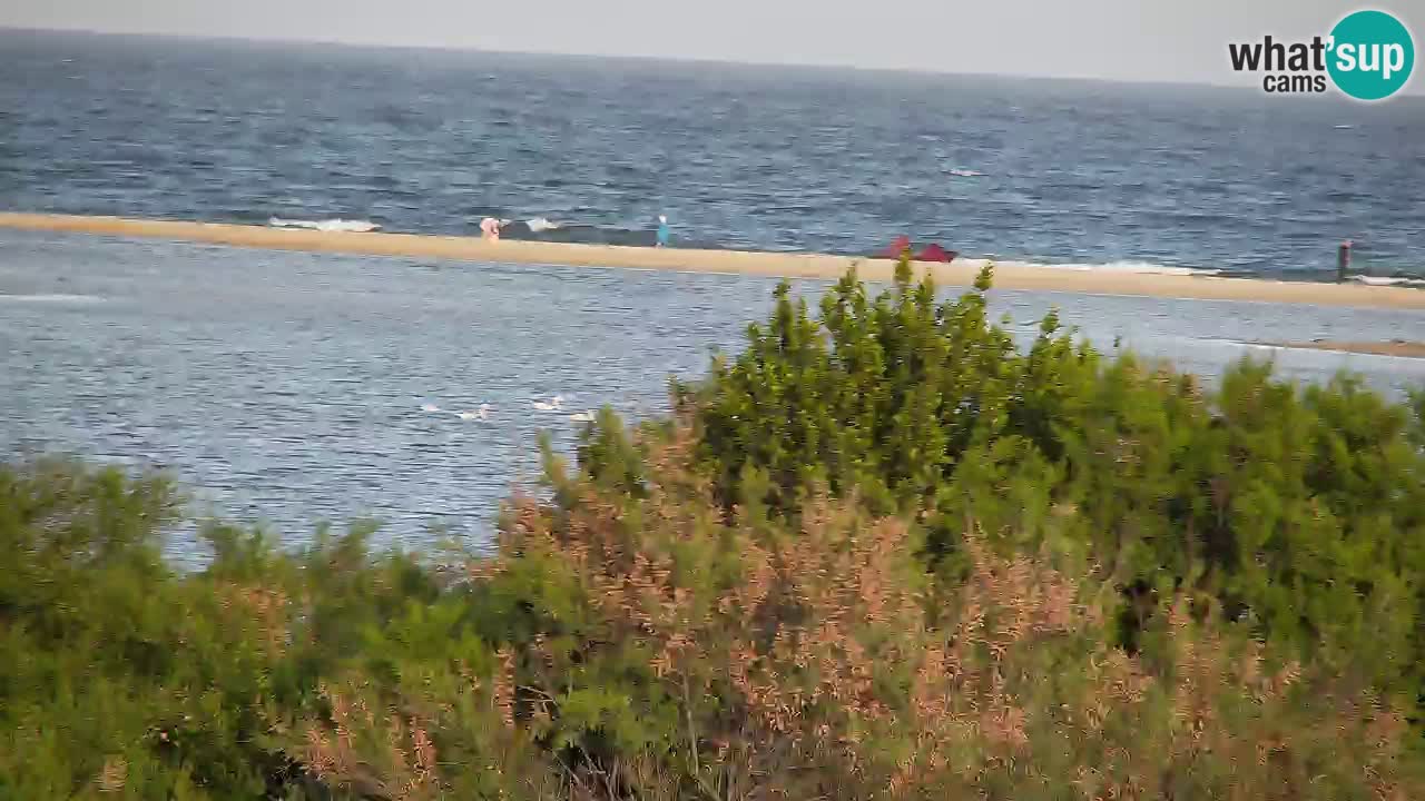 Webcam Chia – Liveblick auf den Strand Su Giudeu