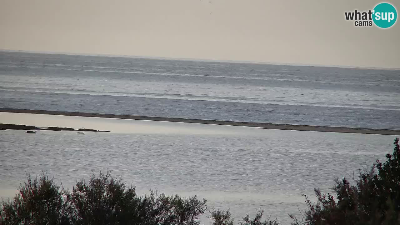 Webcam Chia – Vue en direct de la plage Su Giudeu