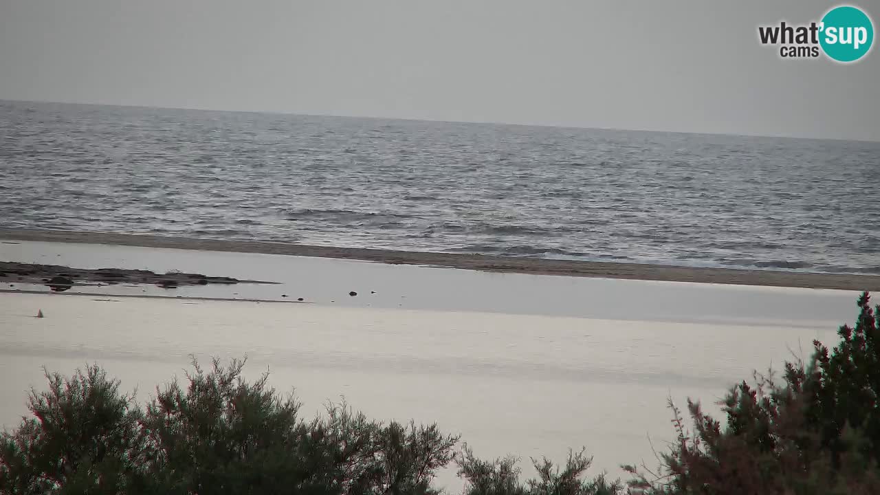 Web kamera Chia – Pogled uživo na plažu Su Giudeu