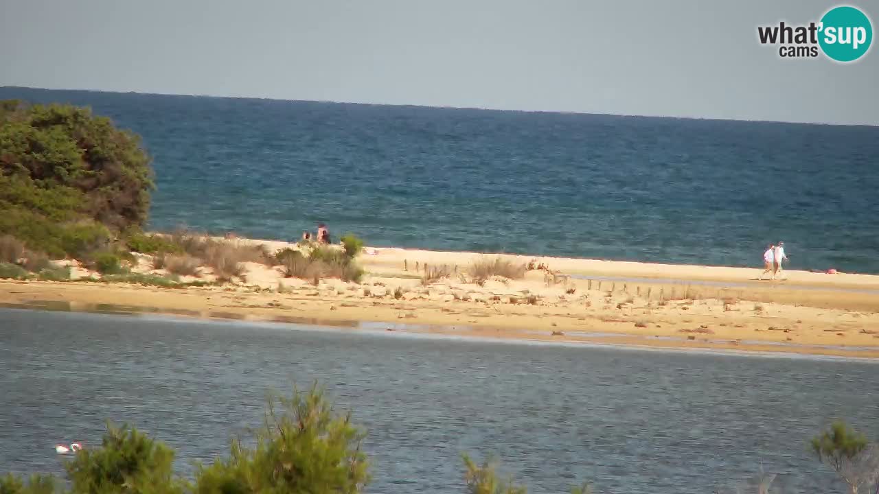 Spletna kamera Chia – Pogled v živo na plažo Su Giudeu