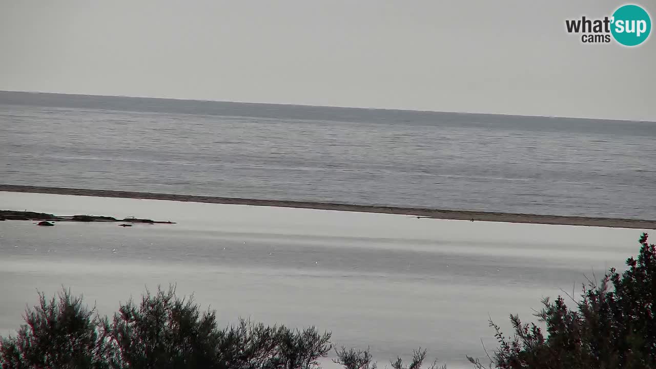 Webcam Chia – Live View of Su Giudeu Beach
