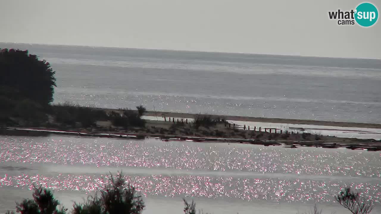 Spletna kamera Chia – Pogled v živo na plažo Su Giudeu