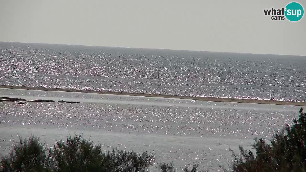 Webcam Chia – Liveblick auf den Strand Su Giudeu