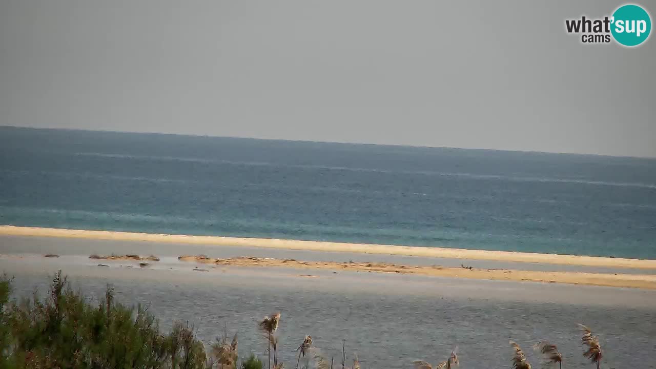 Webcam Chia – Live View of Su Giudeu Beach