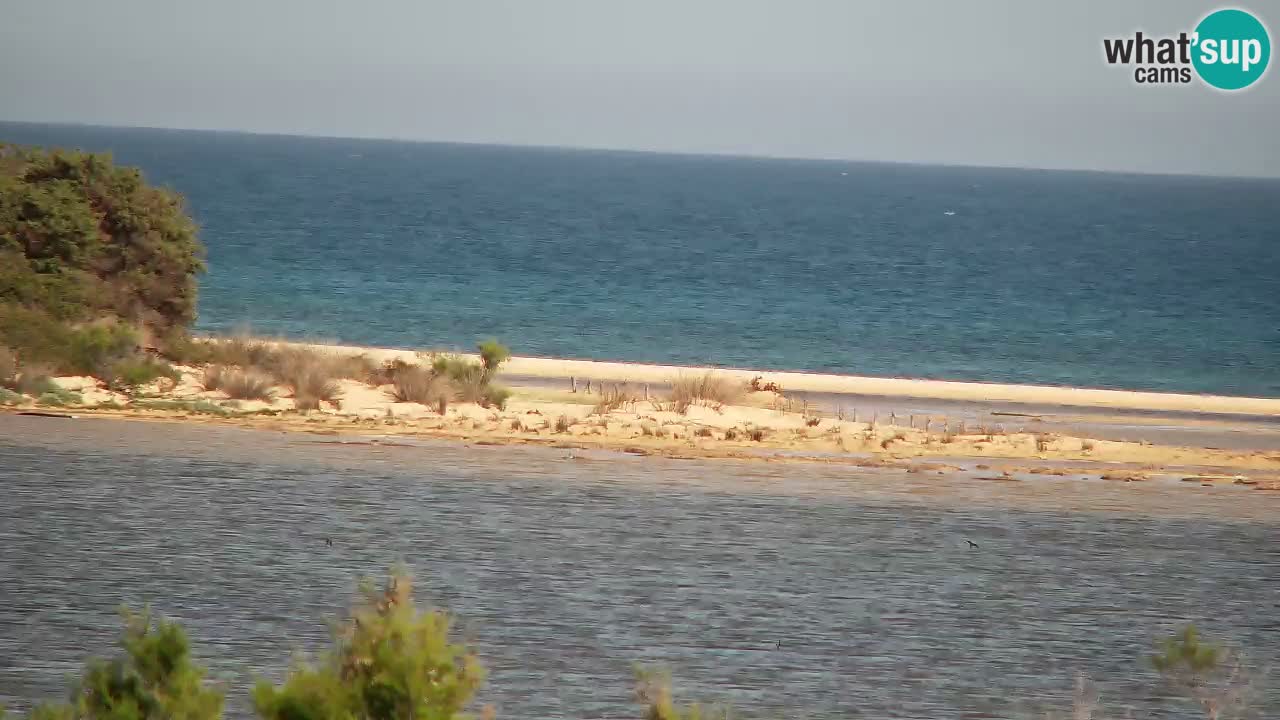 Webcam Chia – Live View of Su Giudeu Beach