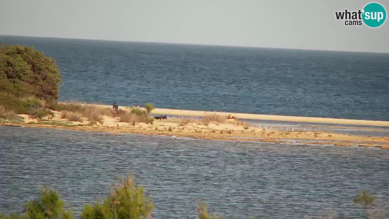 Webcam Chia – Live View of Su Giudeu Beach