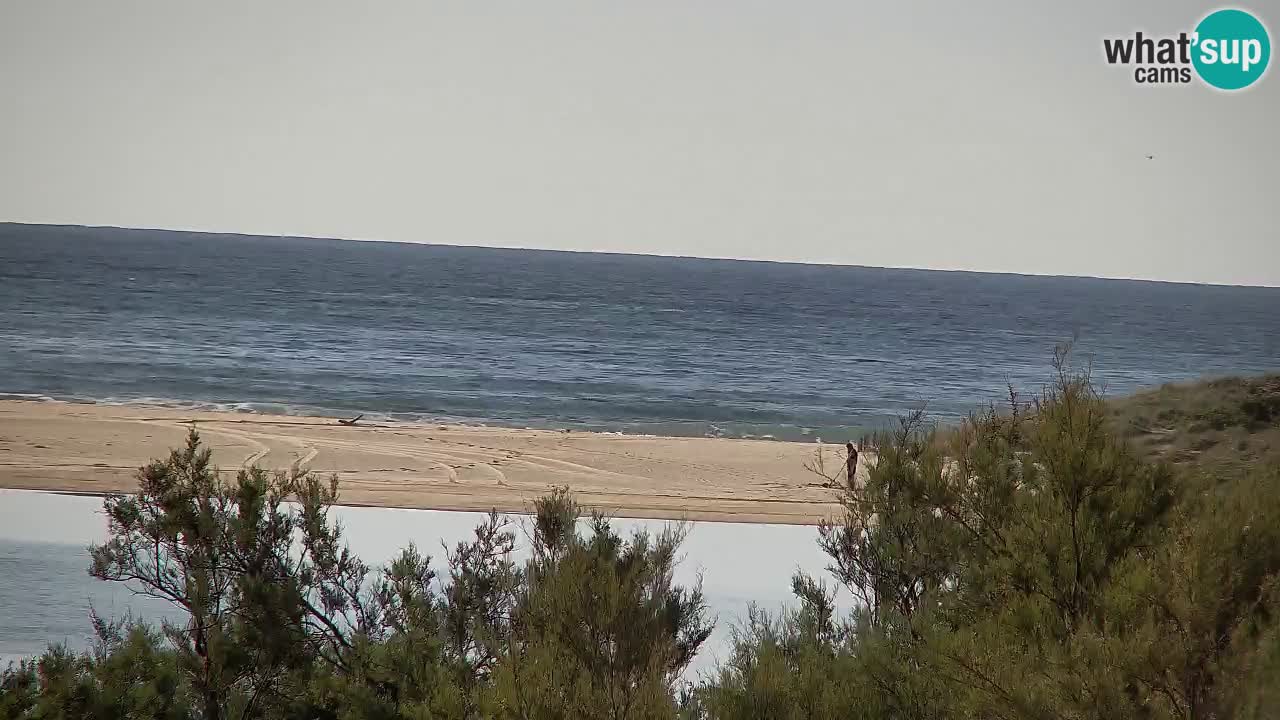 Webcam Chia – Live View of Su Giudeu Beach