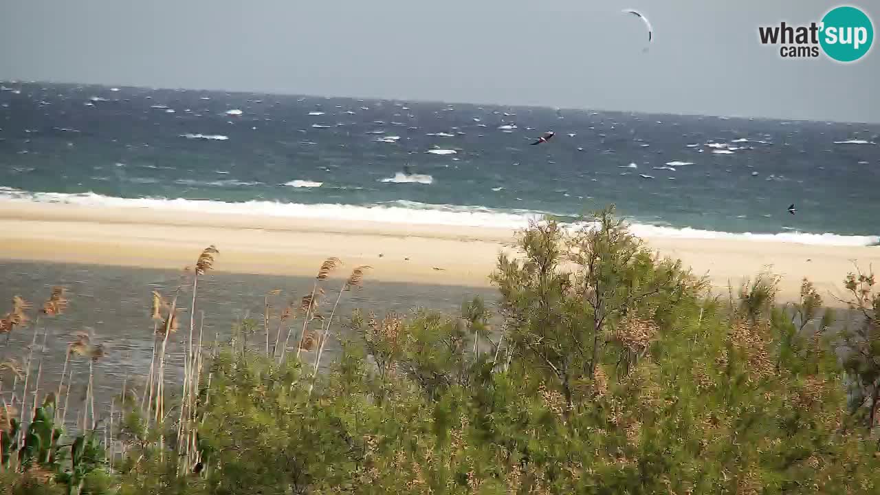 Webcam Chia – Vista en directo de la playa Su Giudeu
