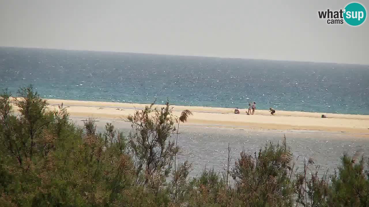 Web kamera Chia – Pogled uživo na plažu Su Giudeu