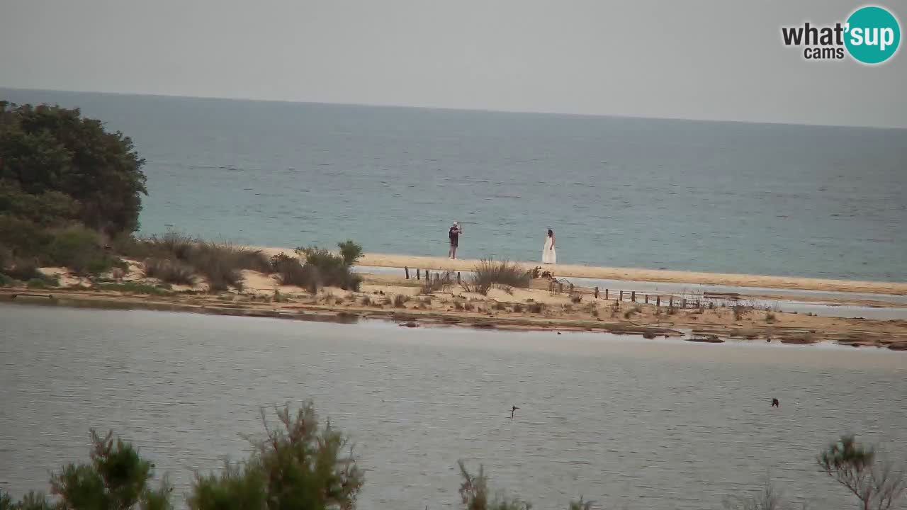 Spletna kamera Chia – Pogled v živo na plažo Su Giudeu