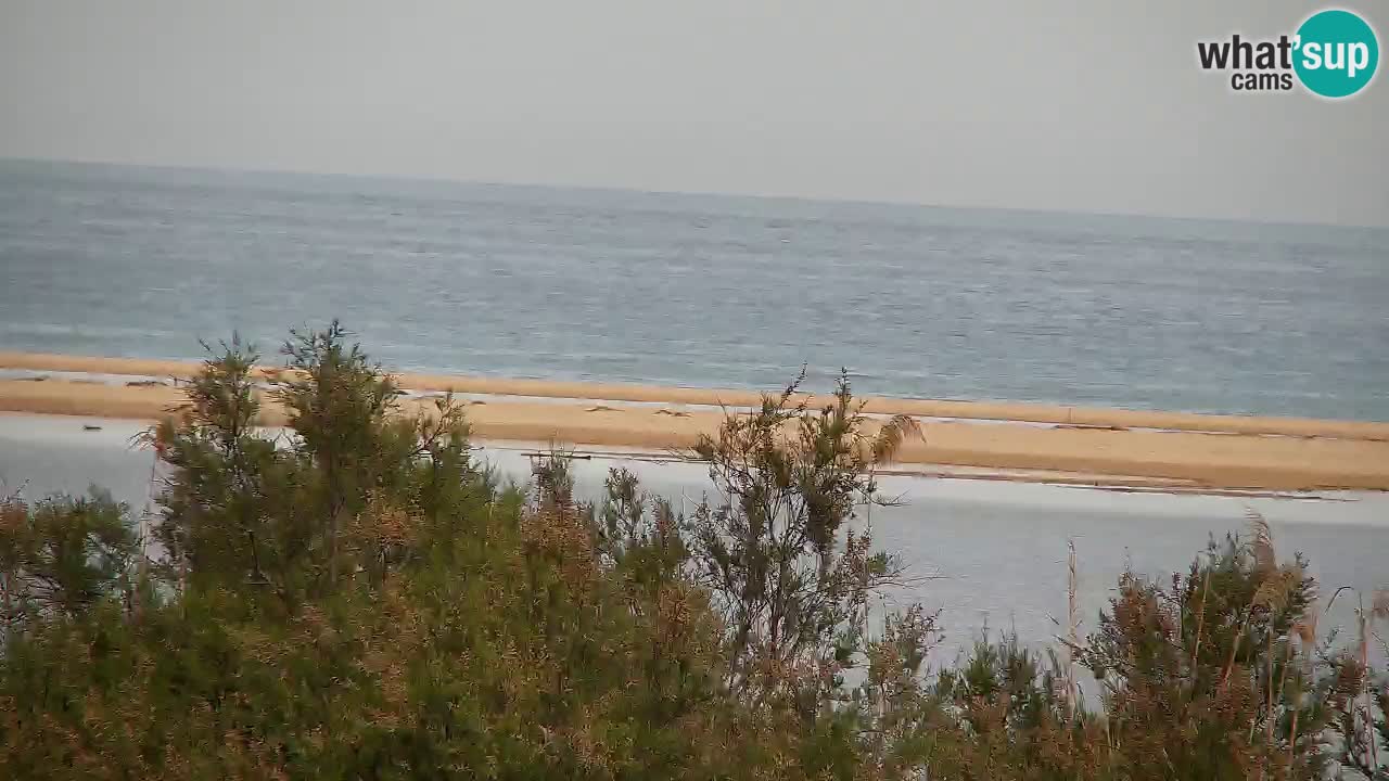 Web kamera Chia – Pogled uživo na plažu Su Giudeu