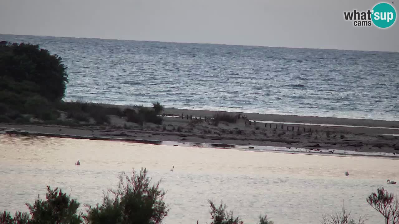 Webcam Chia – Vista en directo de la playa Su Giudeu