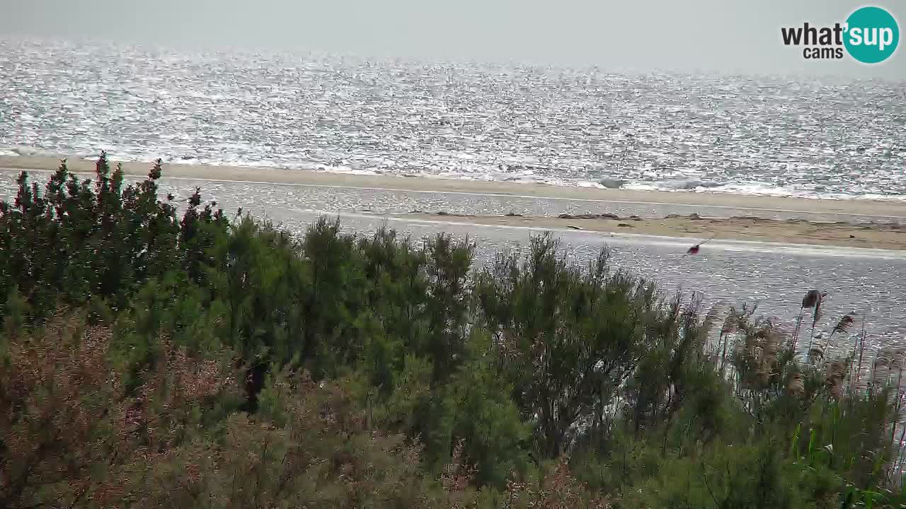 Webcam Chia – Vue en direct de la plage Su Giudeu