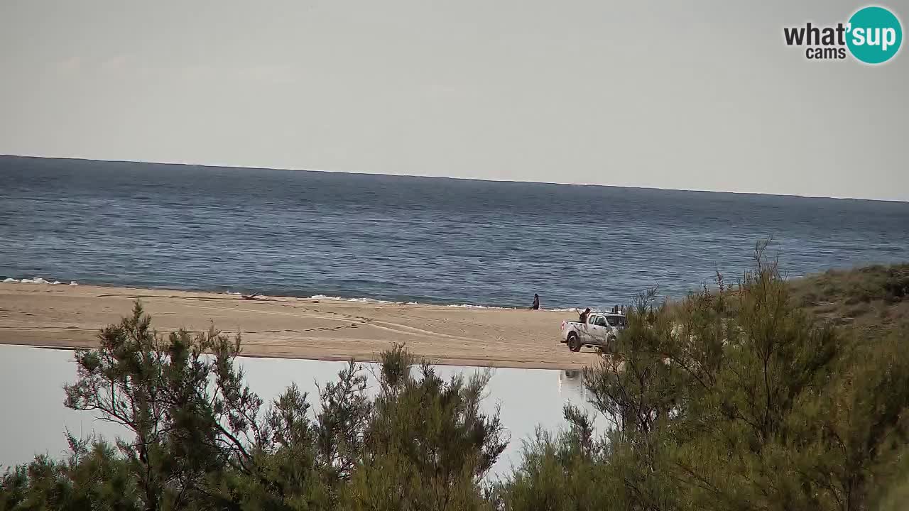 Webcam Chia – Live View of Su Giudeu Beach