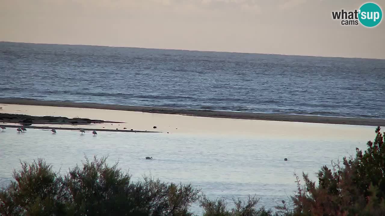 Webcam Chia – Liveblick auf den Strand Su Giudeu