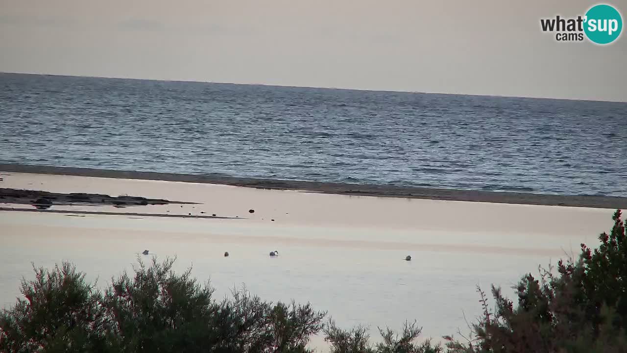 Web kamera Chia – Pogled uživo na plažu Su Giudeu