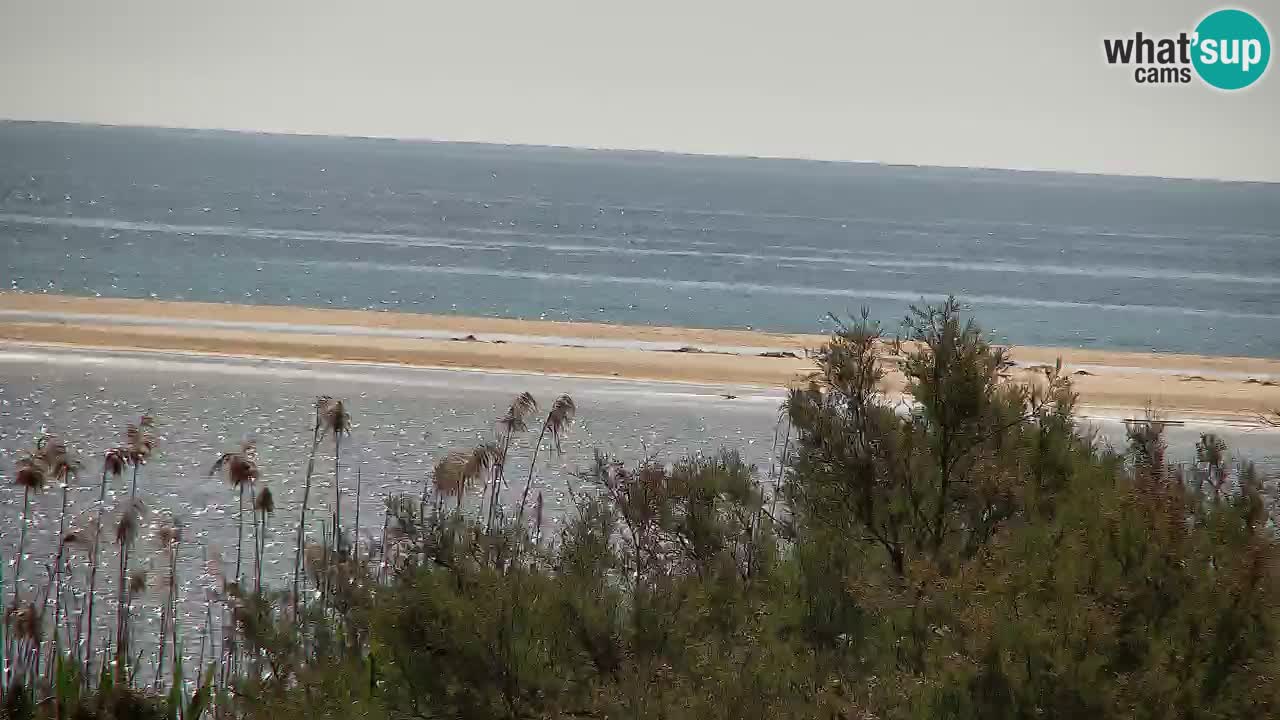 Spletna kamera Chia – Pogled v živo na plažo Su Giudeu