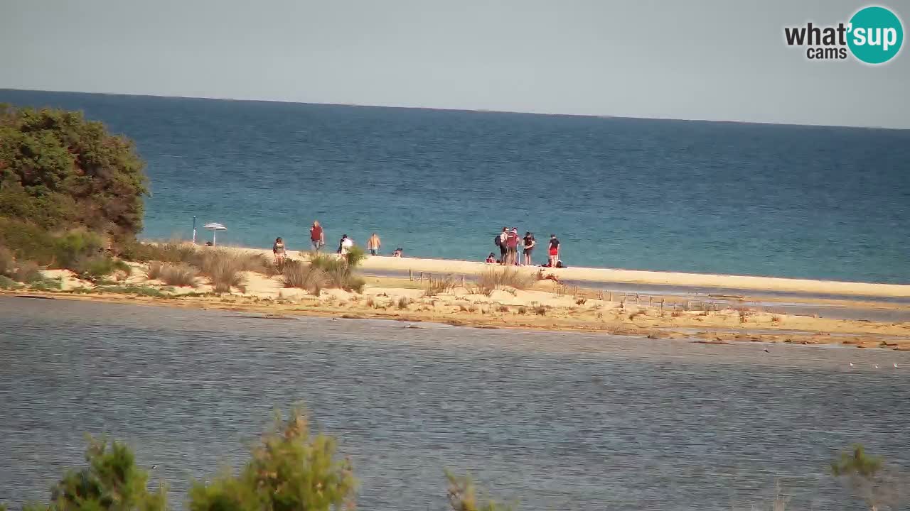 Webcam Chia – Vue en direct de la plage Su Giudeu