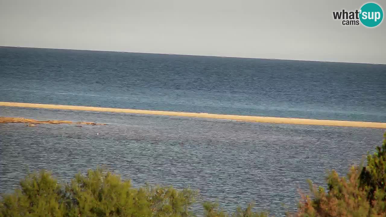 Webcam Chia – Live View of Su Giudeu Beach