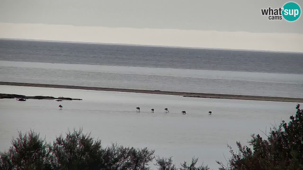 Webcam Chia – Live View of Su Giudeu Beach
