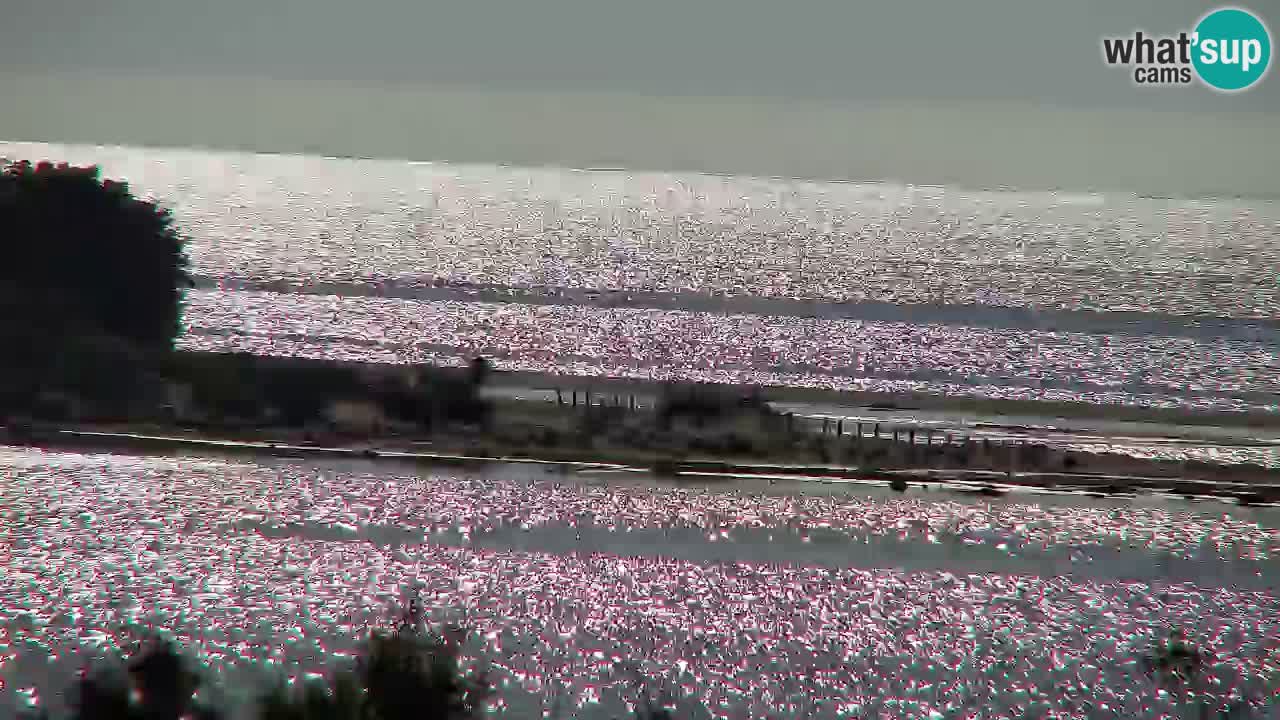 Webcam Chia – Live View of Su Giudeu Beach