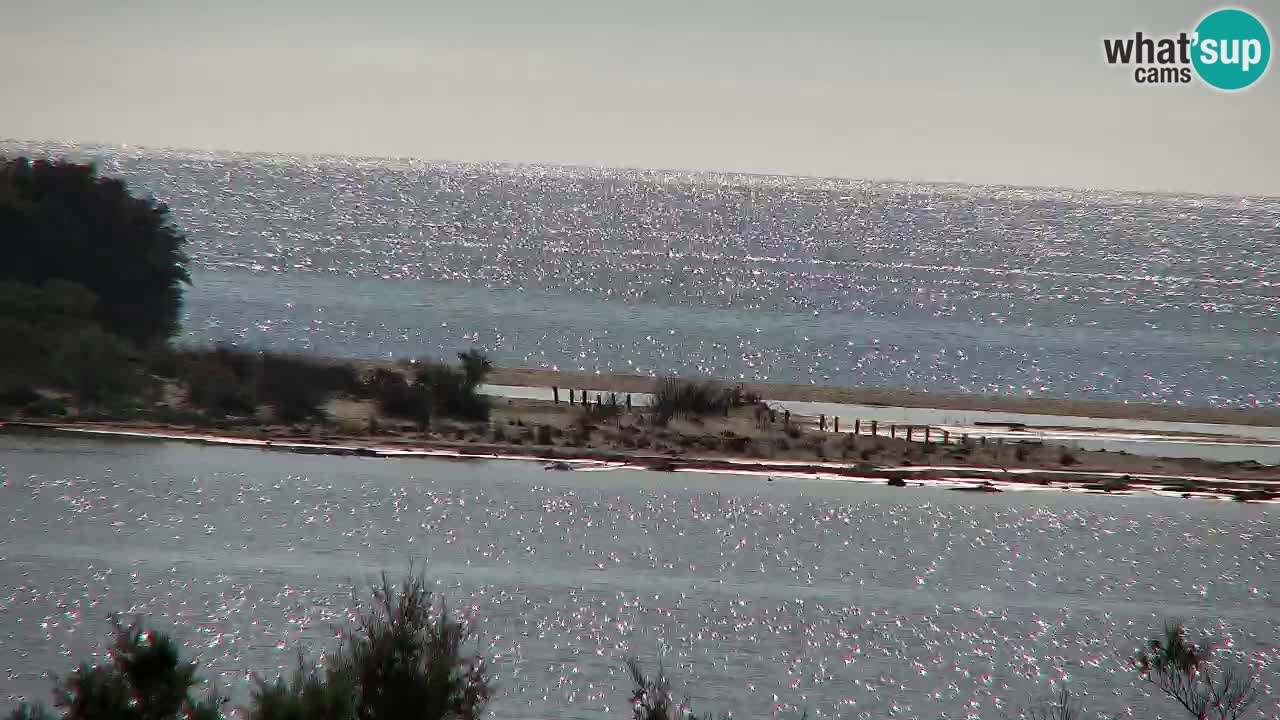 Webcam Chia – Vue en direct de la plage Su Giudeu