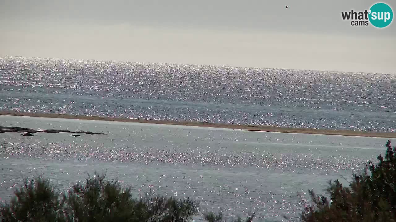 Web kamera Chia – Pogled uživo na plažu Su Giudeu