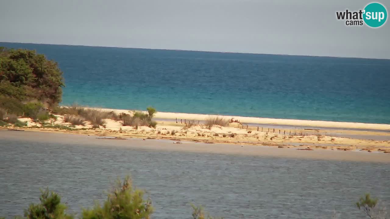 Webcam Chia – Live View of Su Giudeu Beach