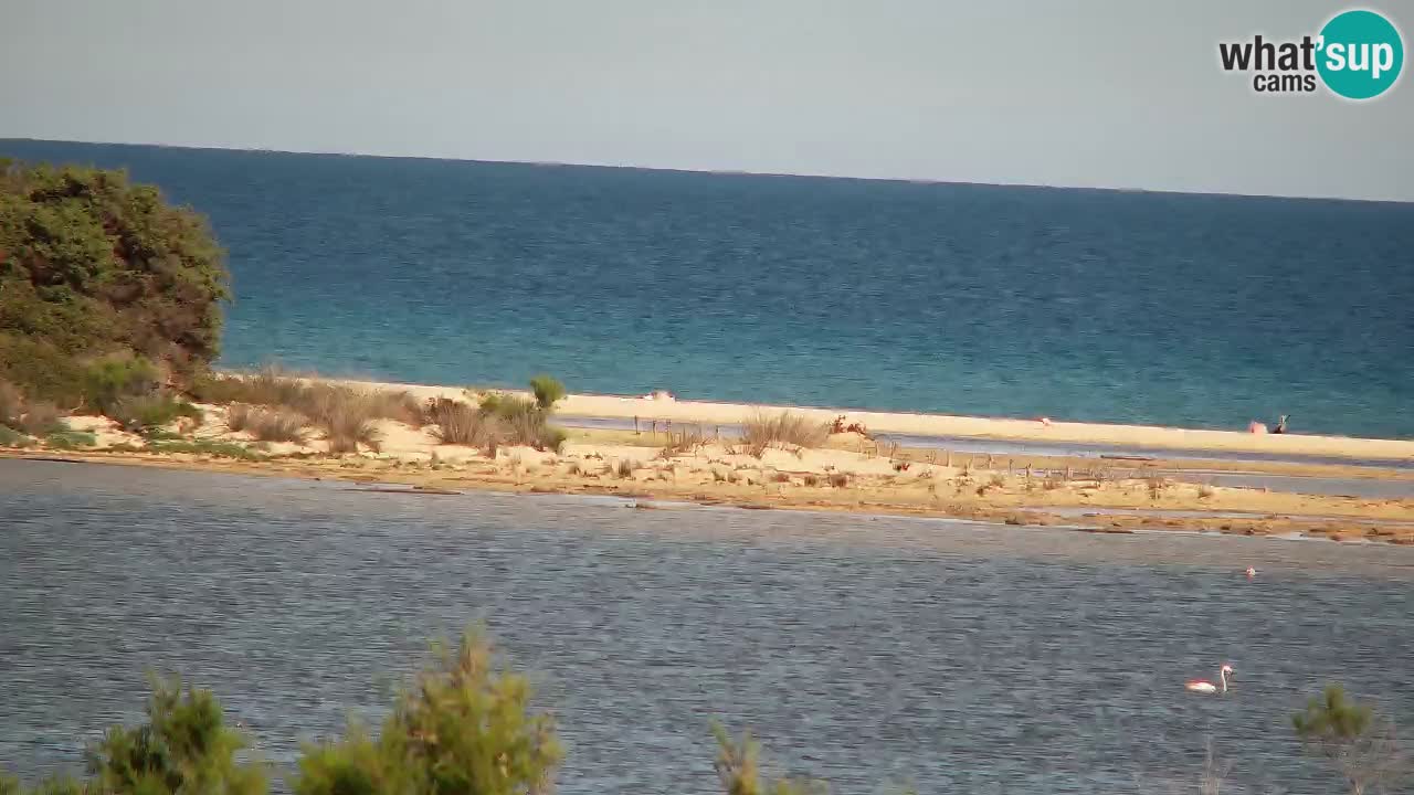 Webcam Chia – Vista en directo de la playa Su Giudeu