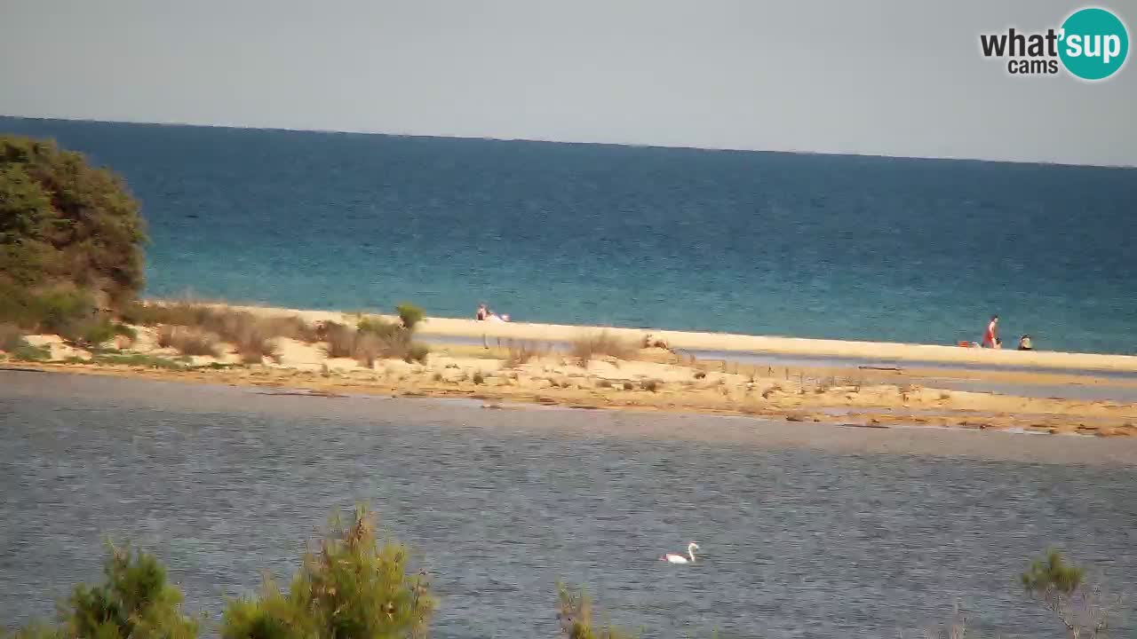 Webcam Chia – Live View of Su Giudeu Beach