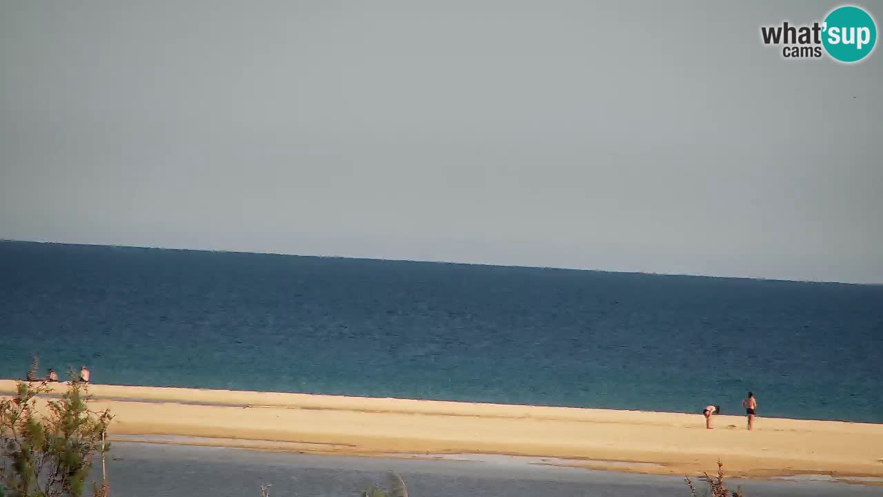 Webcam Chia – Live View of Su Giudeu Beach