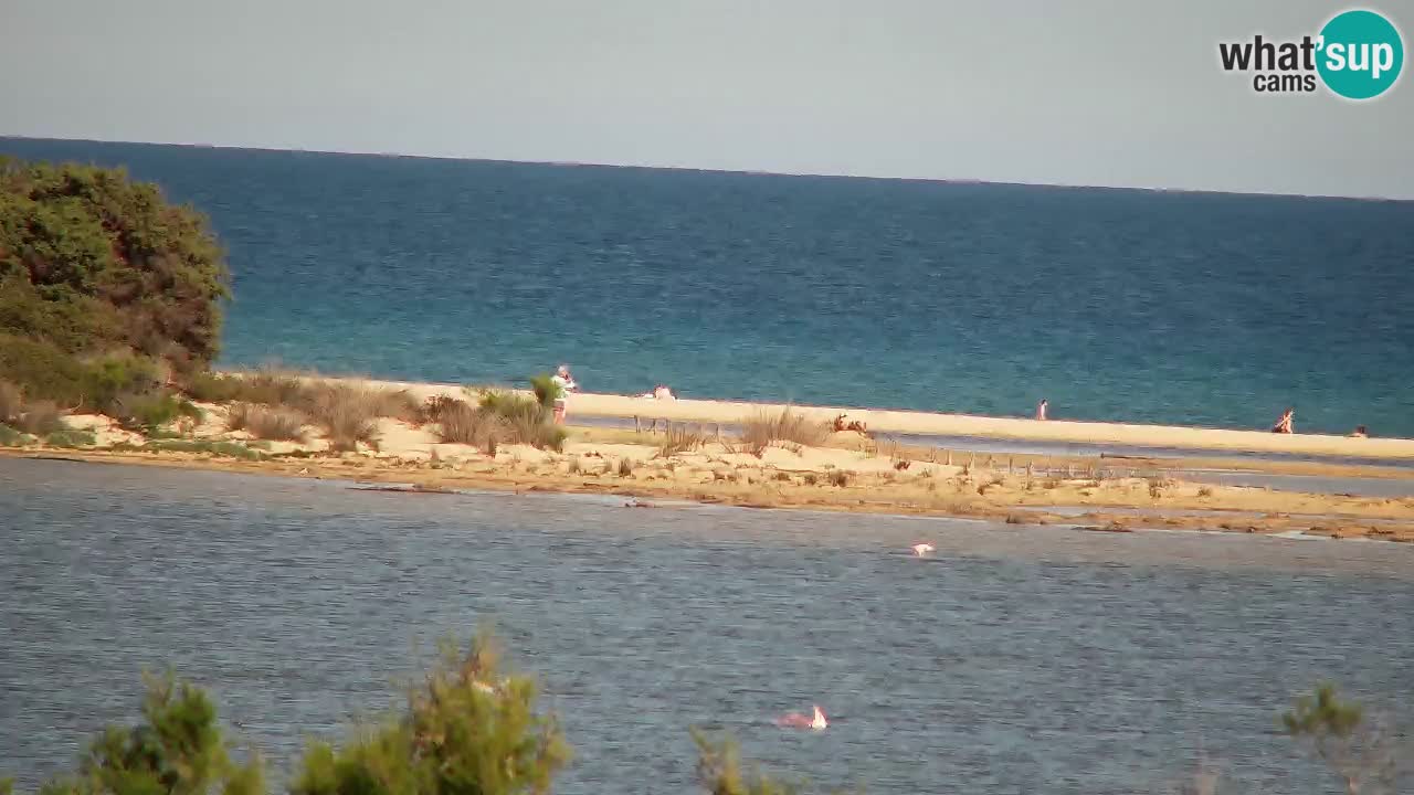 Webcam Chia – Live View of Su Giudeu Beach